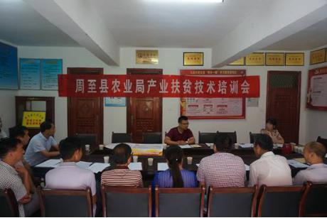 帮扶指导老师现场讲解疫病防治技术.jpg