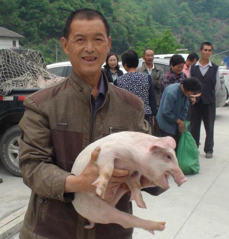 111.jpg