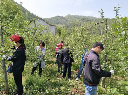凤县社会组织党组织开展技术帮扶.jpg