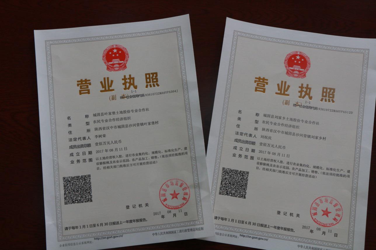 弯徭֯Ǽ֤
