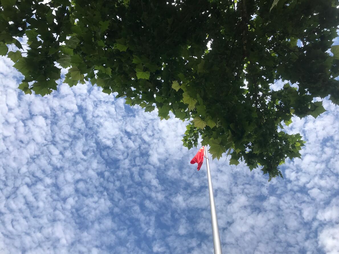ԶյǺ