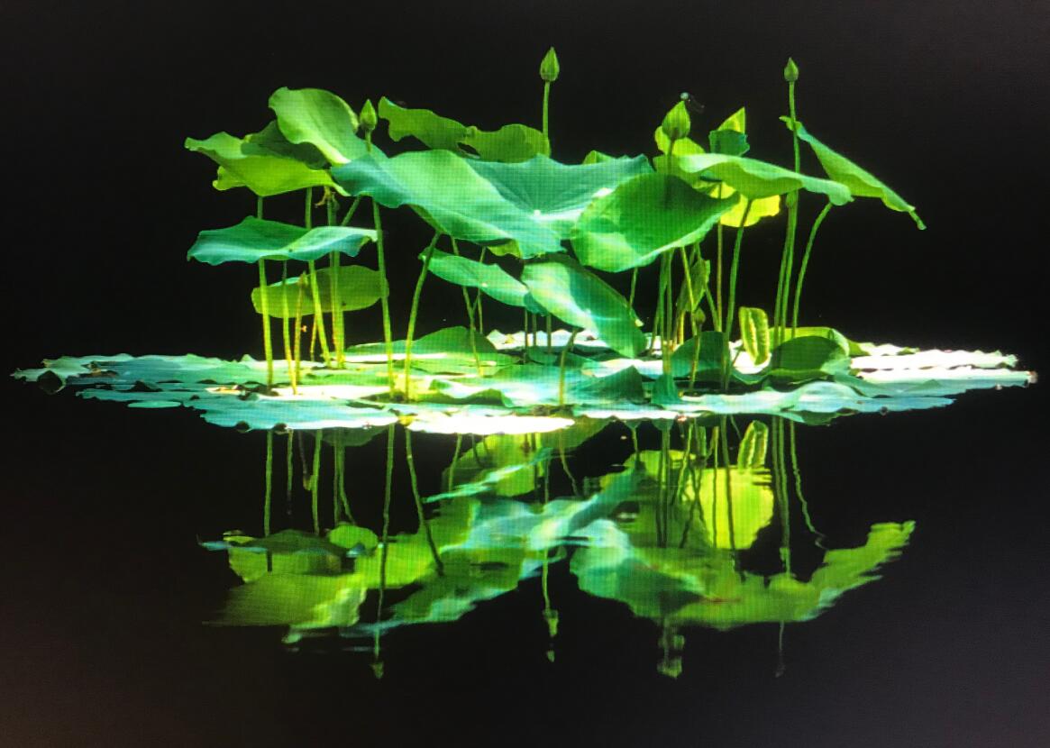 ҹ 