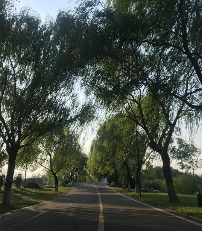 ҡҷ
